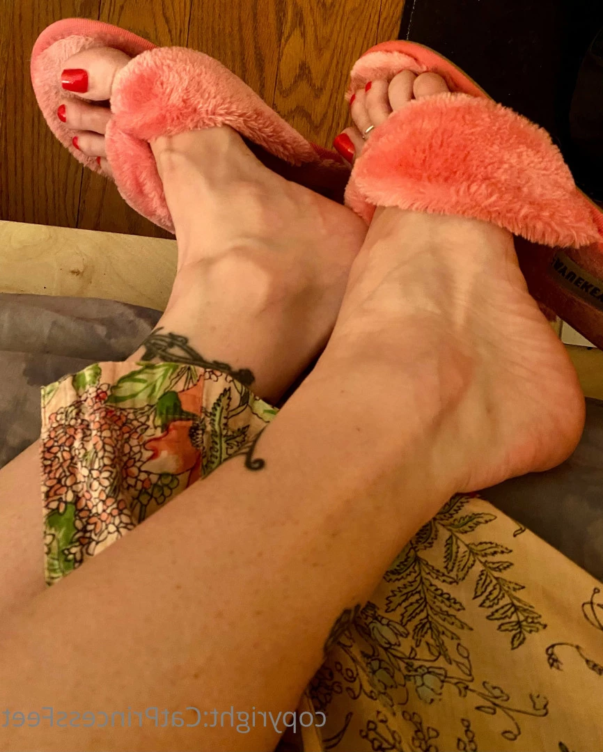 CatPrincess [ catprincessfeet ] Onlyfans leaked photo 7618299 on Hotleaks.tv