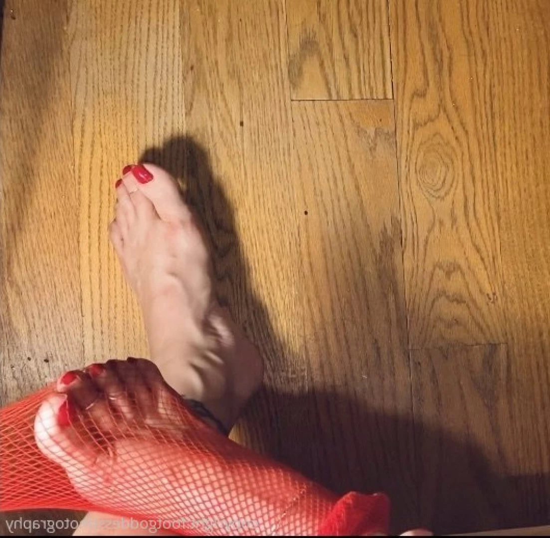 CatPrincess [ catprincessfeet ] Onlyfans leaked photo 7618744 on Hotleaks.tv