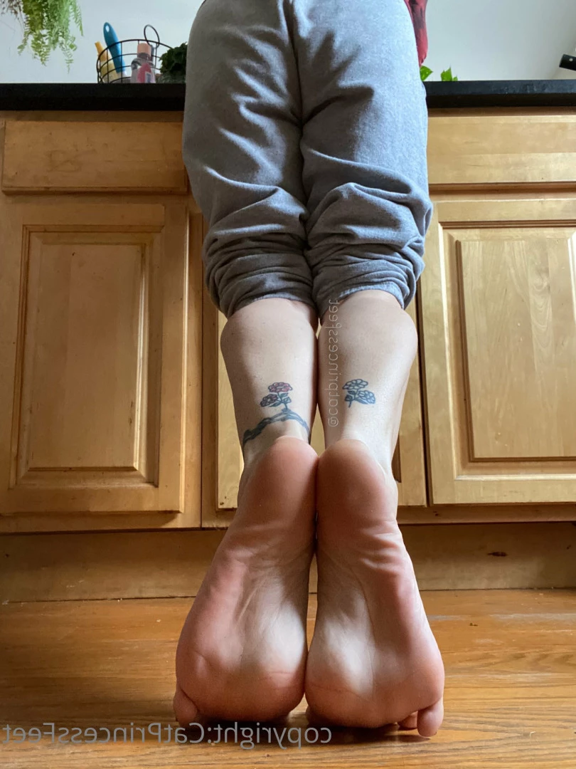 CatPrincess [ catprincessfeet ] Onlyfans leaked photo 7618920 on Hotleaks.tv