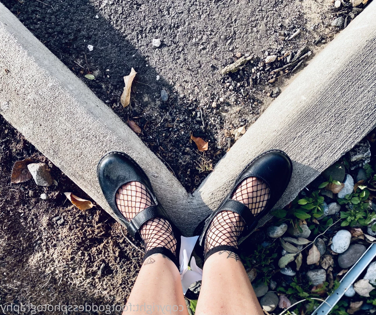 CatPrincess [ catprincessfeet ] Onlyfans leaked photo 7619425 on Hotleaks.tv