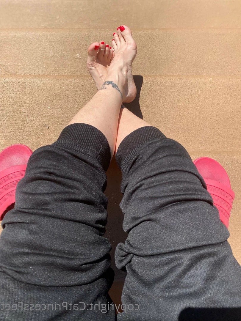 CatPrincess [ catprincessfeet ] Onlyfans leaked photo 7619448 on Hotleaks.tv