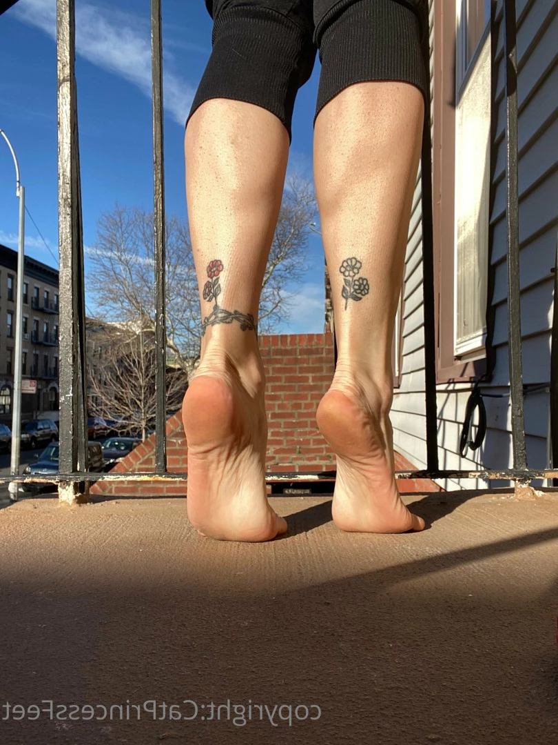 CatPrincess [ catprincessfeet ] Onlyfans leaked photo 7619489 on Hotleaks.tv