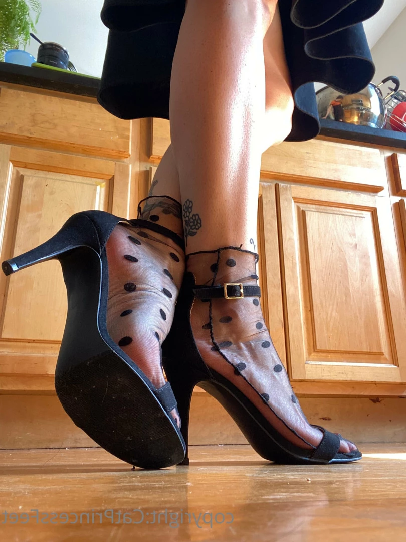 CatPrincess [ catprincessfeet ] Onlyfans leaked photo 7619696 on Hotleaks.tv