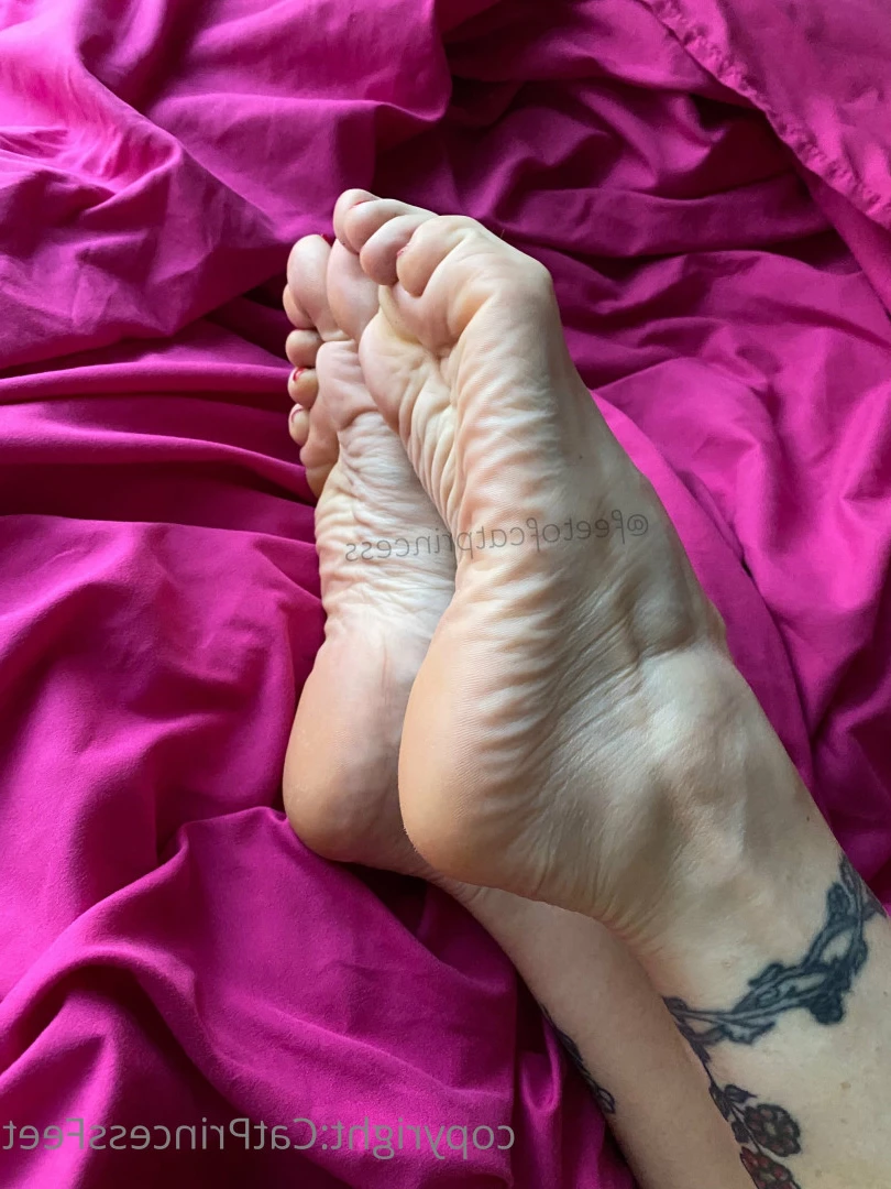 CatPrincess [ catprincessfeet ] Onlyfans leaked photo 7619920 on Hotleaks.tv