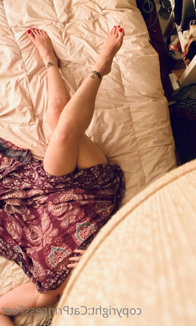CatPrincess [ catprincessfeet ] Onlyfans leaked photo 7620163 on Hotleaks.tv