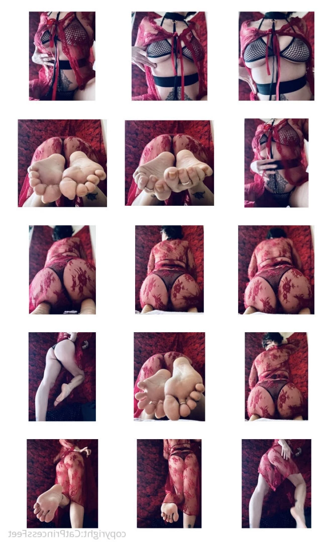 CatPrincess [ catprincessfeet ] Onlyfans leaked photo 7620568 on Hotleaks.tv