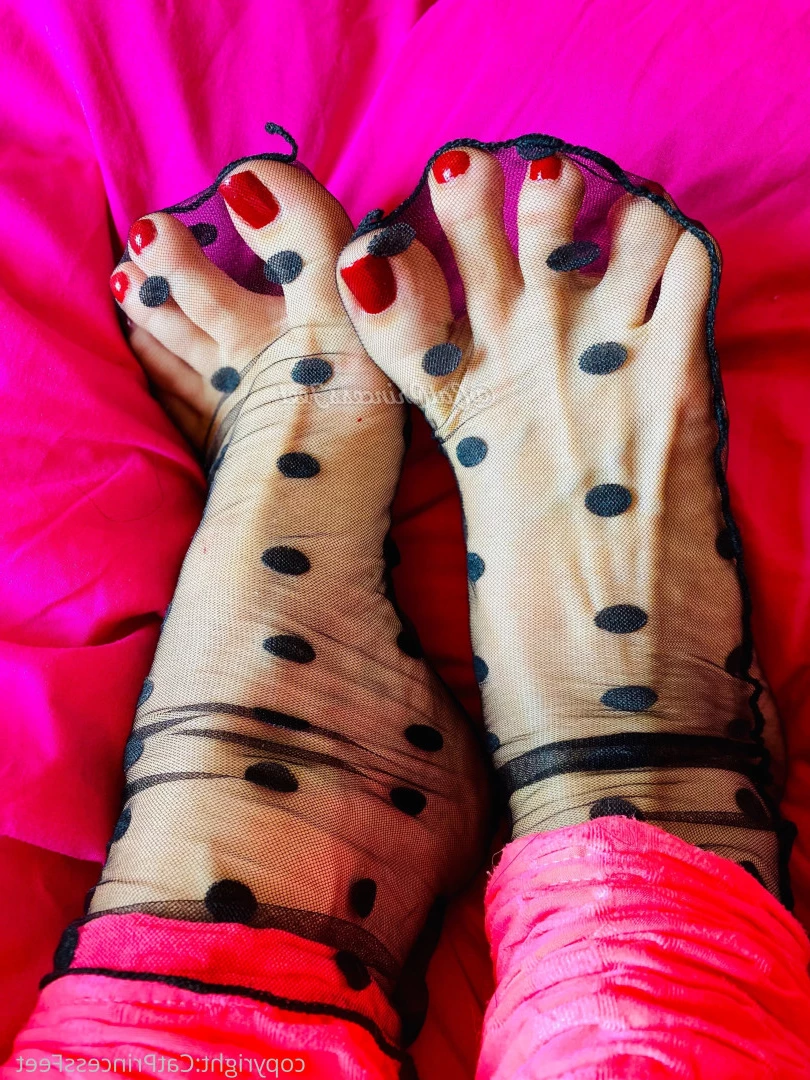 CatPrincess [ catprincessfeet ] Onlyfans leaked photo 7620842 on Hotleaks.tv