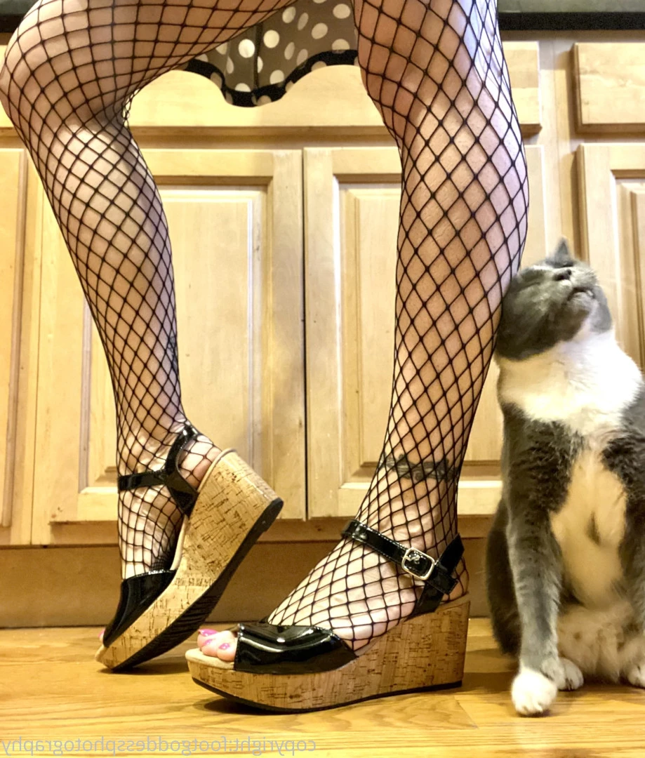 CatPrincess [ catprincessfeet ] Onlyfans leaked photo 7620869 on Hotleaks.tv