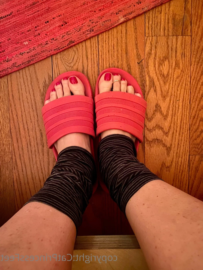 CatPrincess [ catprincessfeet ] Onlyfans leaked photo 7621096 on Hotleaks.tv