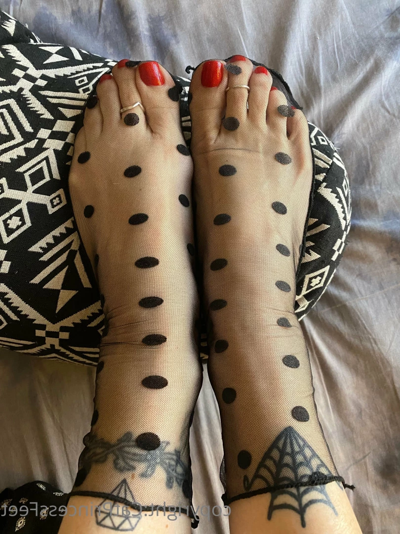 CatPrincess [ catprincessfeet ] Onlyfans leaked photo 7621158 on Hotleaks.tv