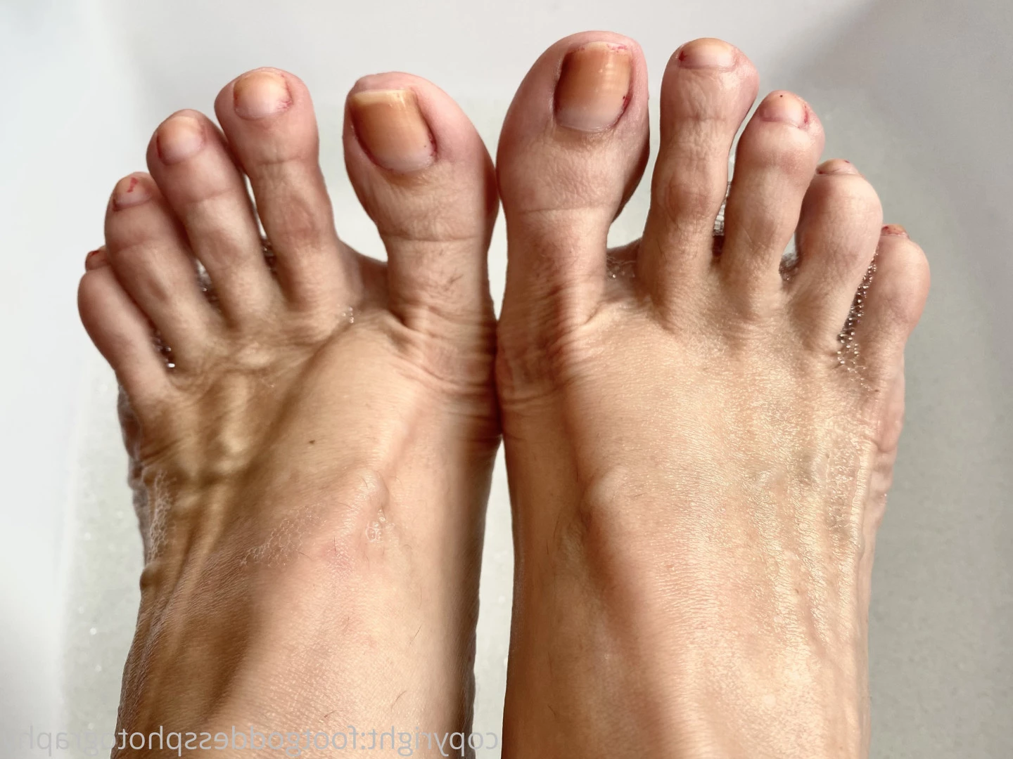 CatPrincess [ catprincessfeet ] Onlyfans leaked photo 7621164 on Hotleaks.tv