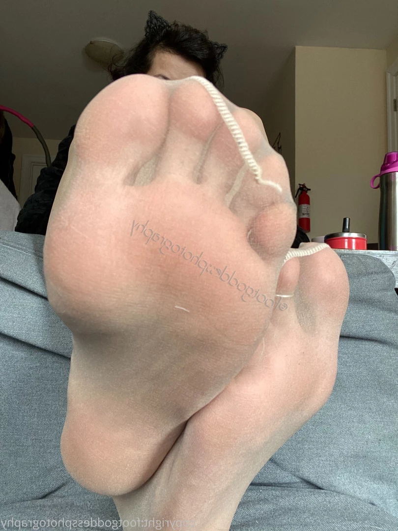 CatPrincess [ catprincessfeet ] Onlyfans leaked photo 7621290 on Hotleaks.tv