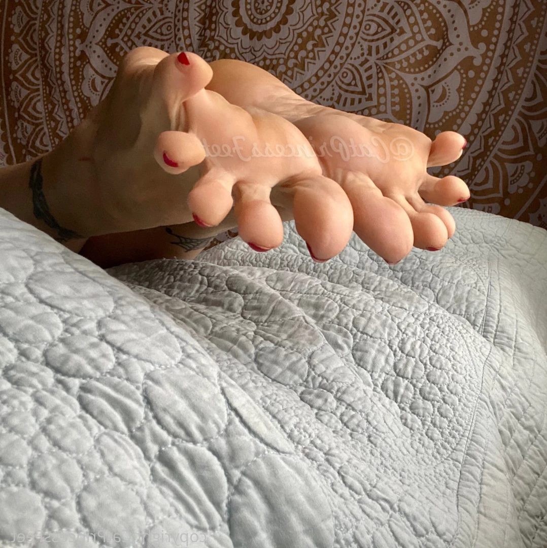 CatPrincess [ catprincessfeet ] Onlyfans leaked photo 7621715 on Hotleaks.tv