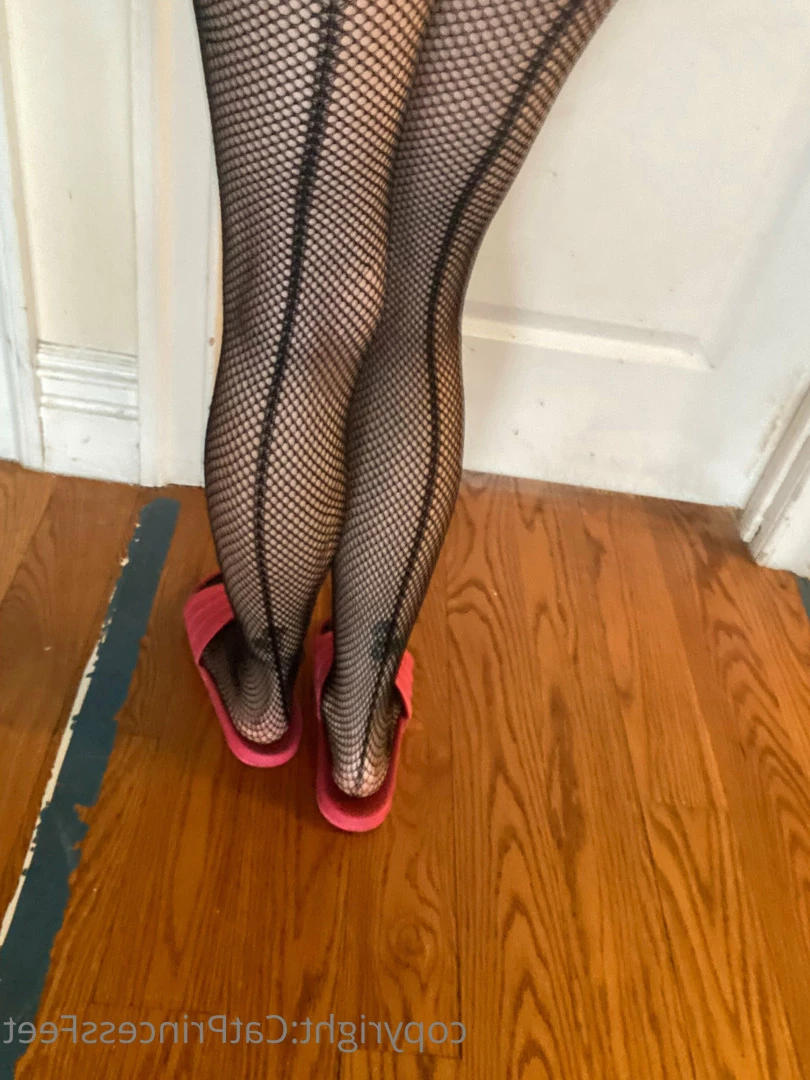 CatPrincess [ catprincessfeet ] Onlyfans leaked photo 7621921 on Hotleaks.tv