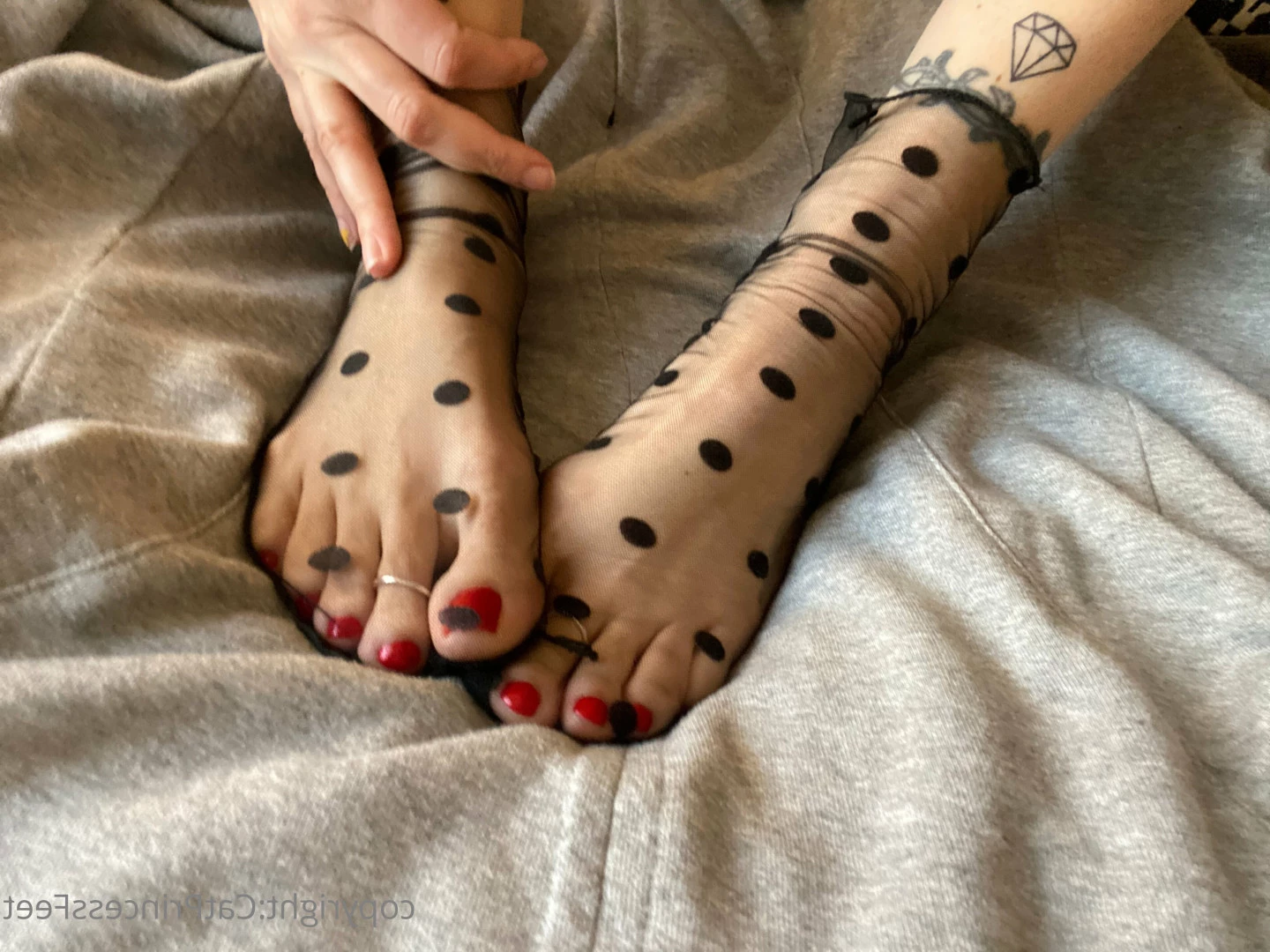 CatPrincess [ catprincessfeet ] Onlyfans leaked photo 7622166 on Hotleaks.tv