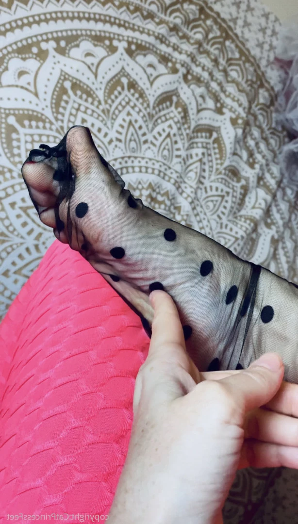 CatPrincess [ catprincessfeet ] Onlyfans leaked photo 7622189 on Hotleaks.tv