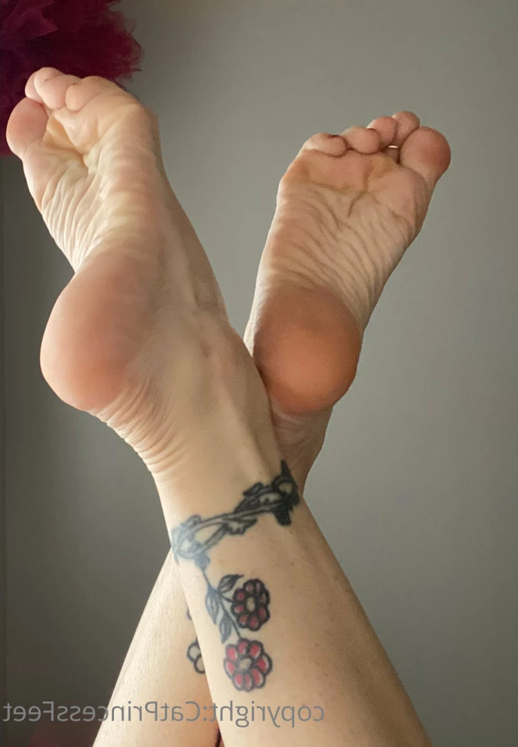 CatPrincess [ catprincessfeet ] Onlyfans leaked photo 7622308 on Hotleaks.tv