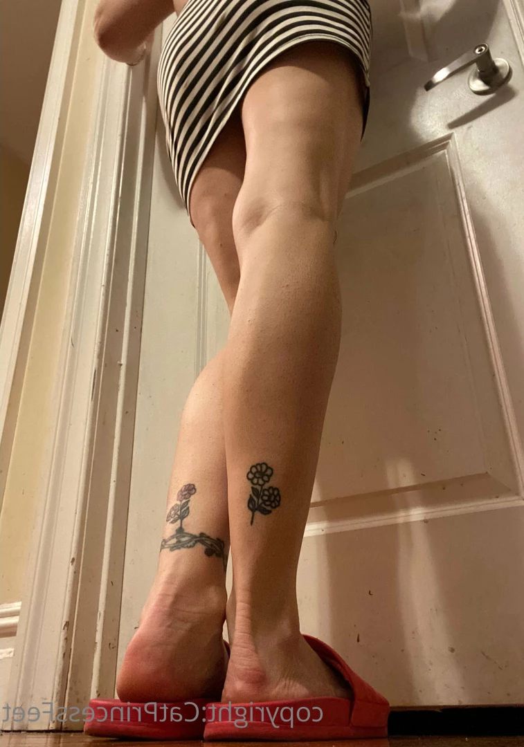 CatPrincess [ catprincessfeet ] Onlyfans leaked photo 7622322 on Hotleaks.tv