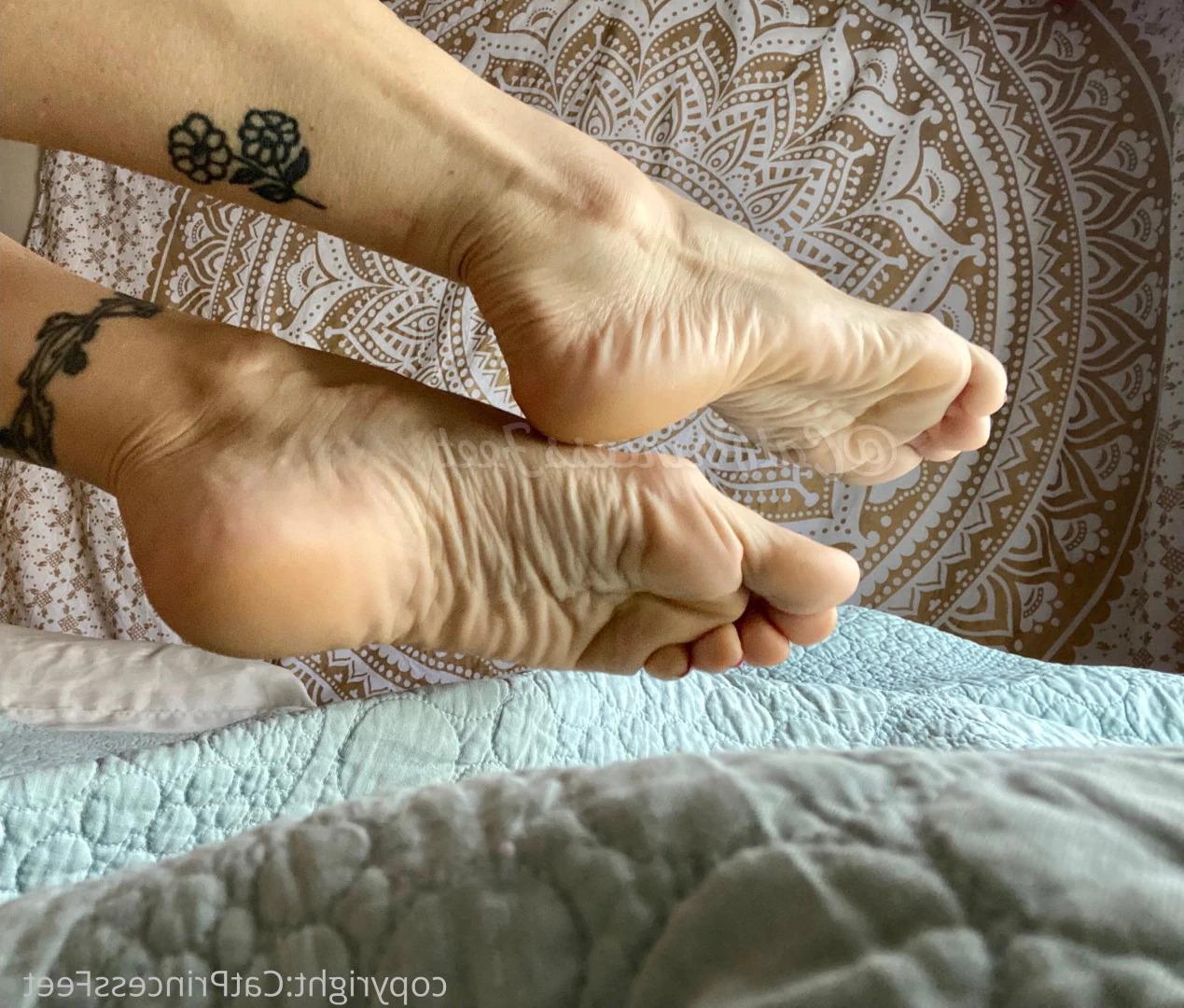CatPrincess [ catprincessfeet ] Onlyfans leaked photo 7622441 on Hotleaks.tv