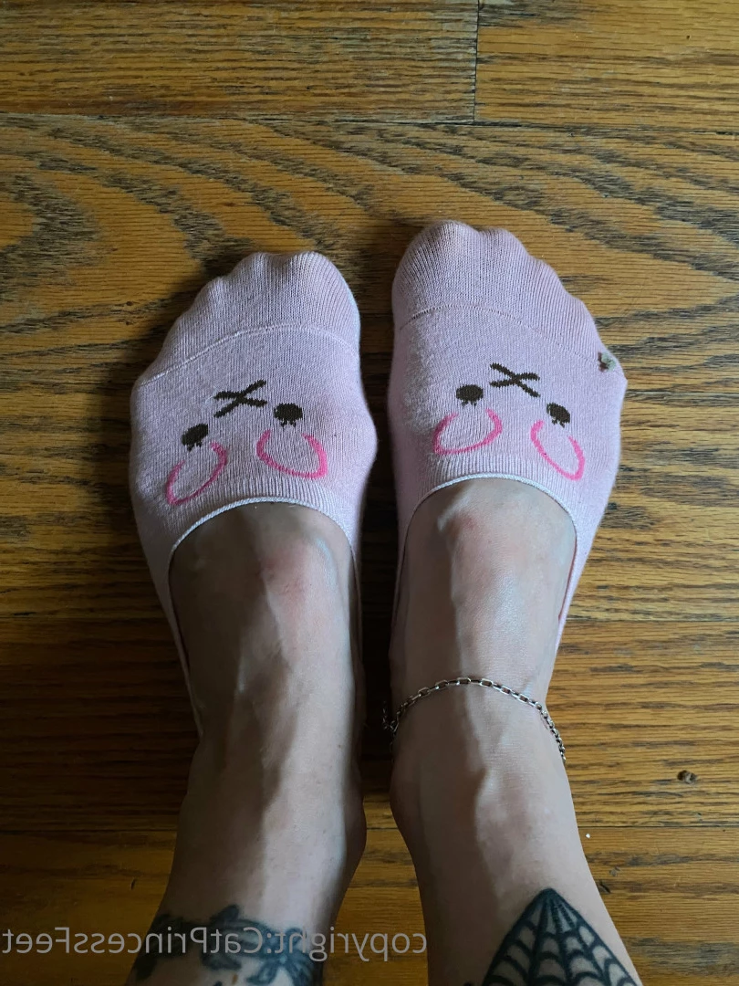 CatPrincess [ catprincessfeet ] Onlyfans leaked photo 7622679 on Hotleaks.tv