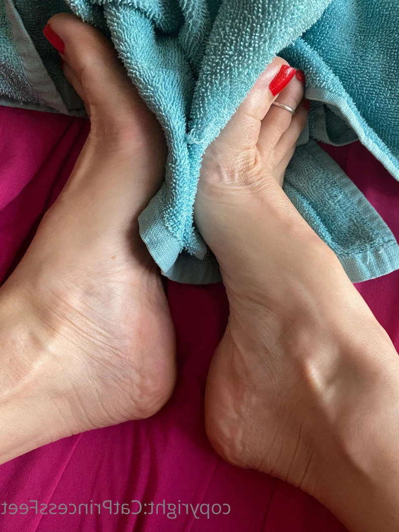 CatPrincess [ catprincessfeet ] Onlyfans leaked photo 7622836 on Hotleaks.tv