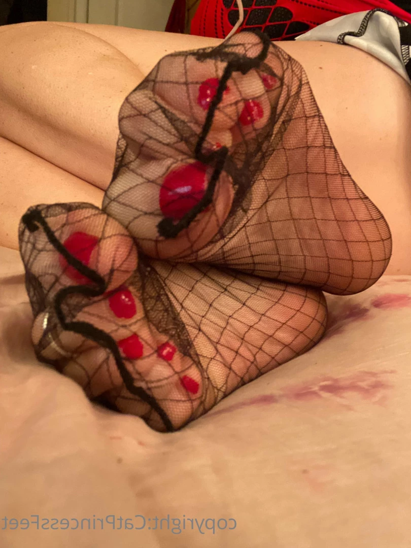 CatPrincess [ catprincessfeet ] Onlyfans leaked photo 7623178 on Hotleaks.tv