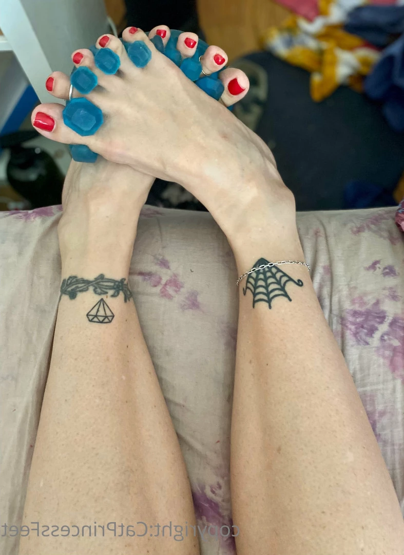 CatPrincess [ catprincessfeet ] Onlyfans leaked photo 7623225 on Hotleaks.tv