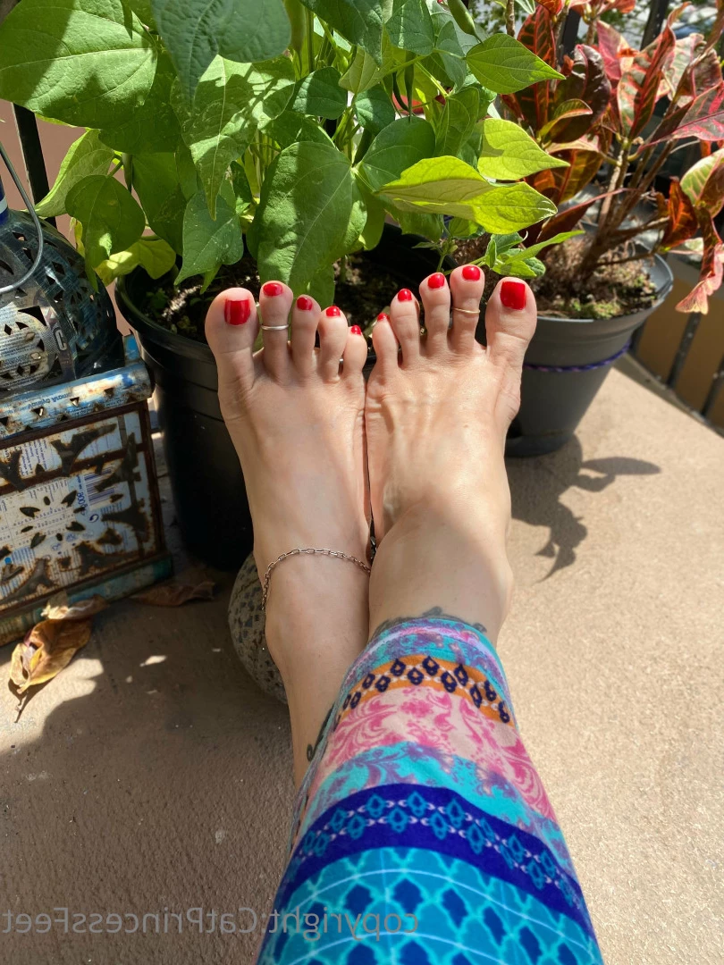 CatPrincess [ catprincessfeet ] Onlyfans leaked photo 7623323 on Hotleaks.tv