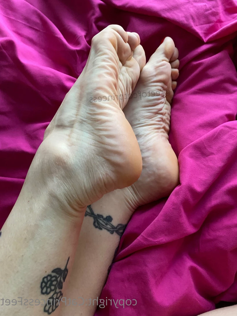 CatPrincess [ catprincessfeet ] Onlyfans leaked photo 7623573 on Hotleaks.tv