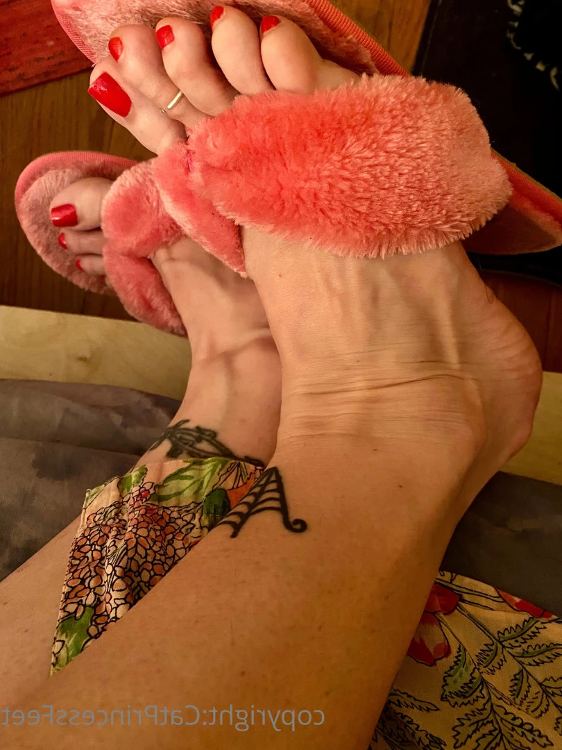 CatPrincess [ catprincessfeet ] Onlyfans leaked photo 7624069 on Hotleaks.tv