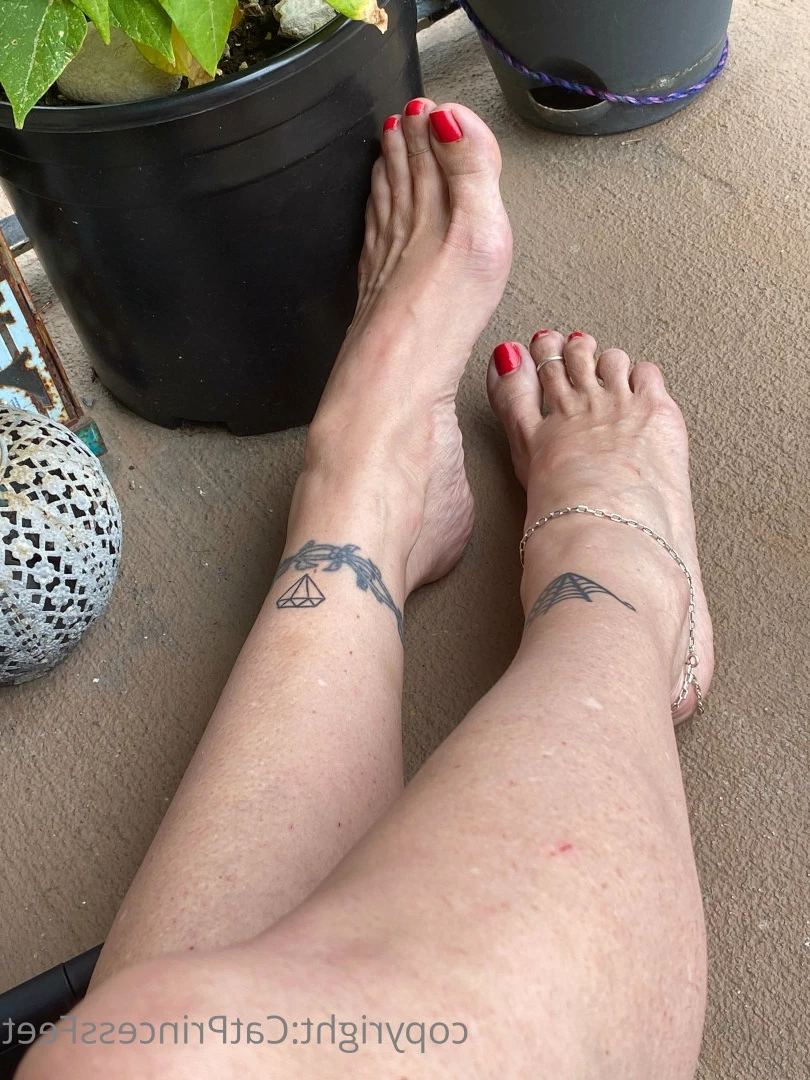 CatPrincess [ catprincessfeet ] Onlyfans leaked photo 7624092 on Hotleaks.tv