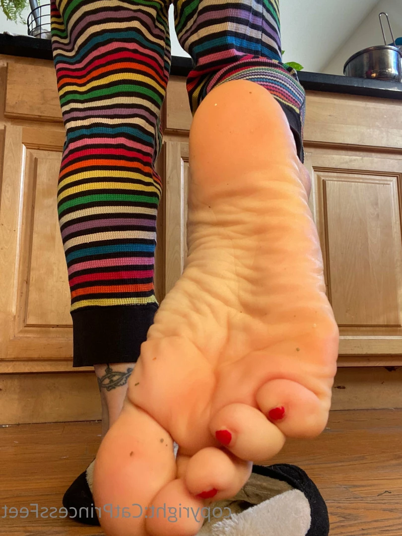 CatPrincess [ catprincessfeet ] Onlyfans leaked photo 7624365 on Hotleaks.tv