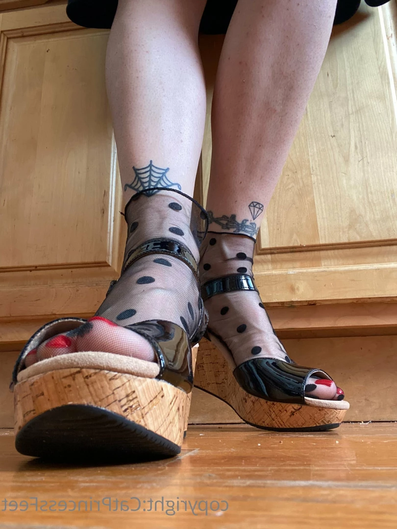 CatPrincess [ catprincessfeet ] Onlyfans leaked photo 7624720 on Hotleaks.tv