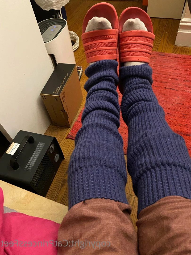 CatPrincess [ catprincessfeet ] Onlyfans leaked photo 7624852 on Hotleaks.tv