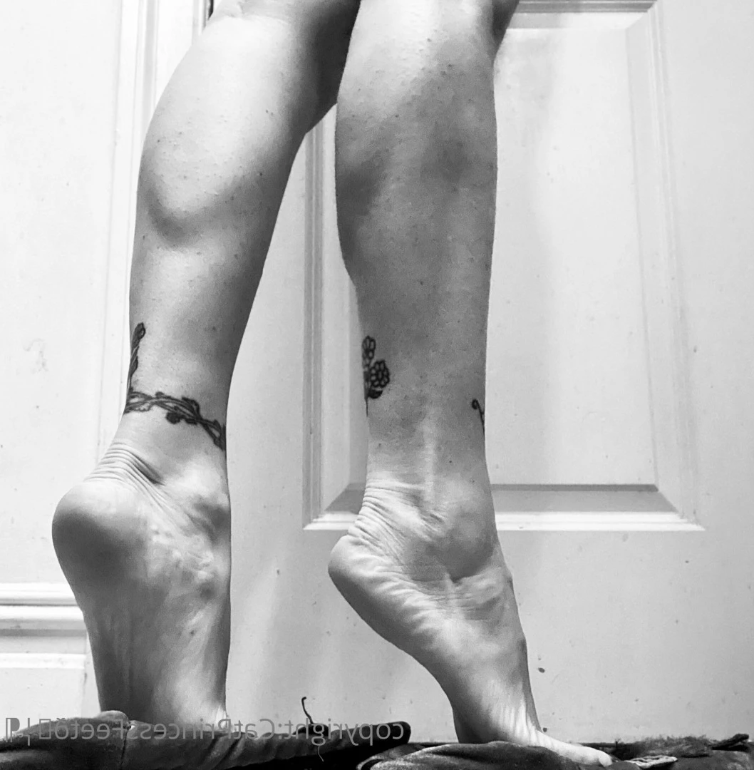 CatPrincess [ catprincessfeet ] Onlyfans leaked photo 7625047 on Hotleaks.tv