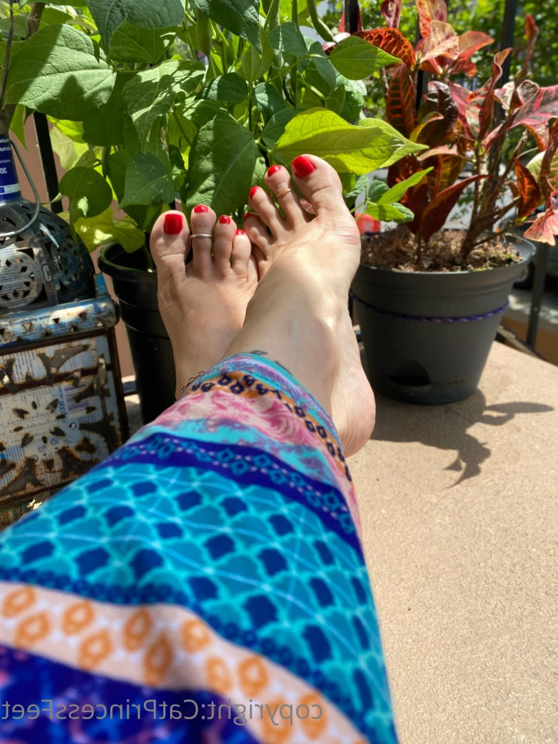 CatPrincess [ catprincessfeet ] Onlyfans leaked photo 7625128 on Hotleaks.tv