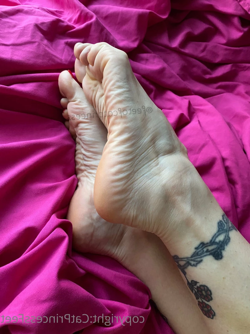 CatPrincess [ catprincessfeet ] Onlyfans leaked photo 7625135 on Hotleaks.tv