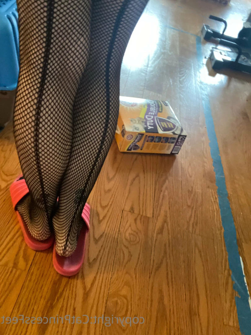CatPrincess [ catprincessfeet ] Onlyfans leaked photo 7625398 on Hotleaks.tv