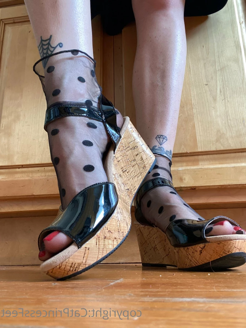 CatPrincess [ catprincessfeet ] Onlyfans leaked photo 7625802 on Hotleaks.tv