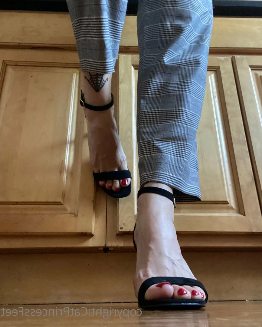 CatPrincess [ catprincessfeet ] Onlyfans leaked photo 7626329 on Hotleaks.tv