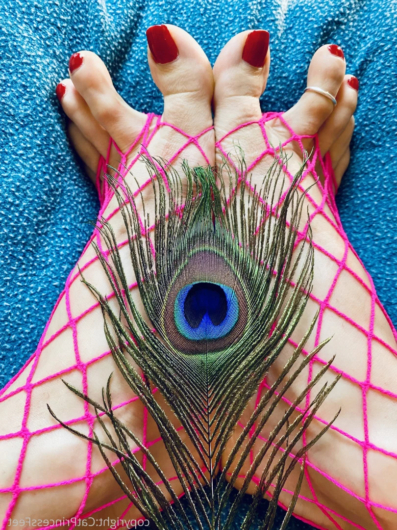 CatPrincess [ catprincessfeet ] Onlyfans leaked photo 7626341 on Hotleaks.tv