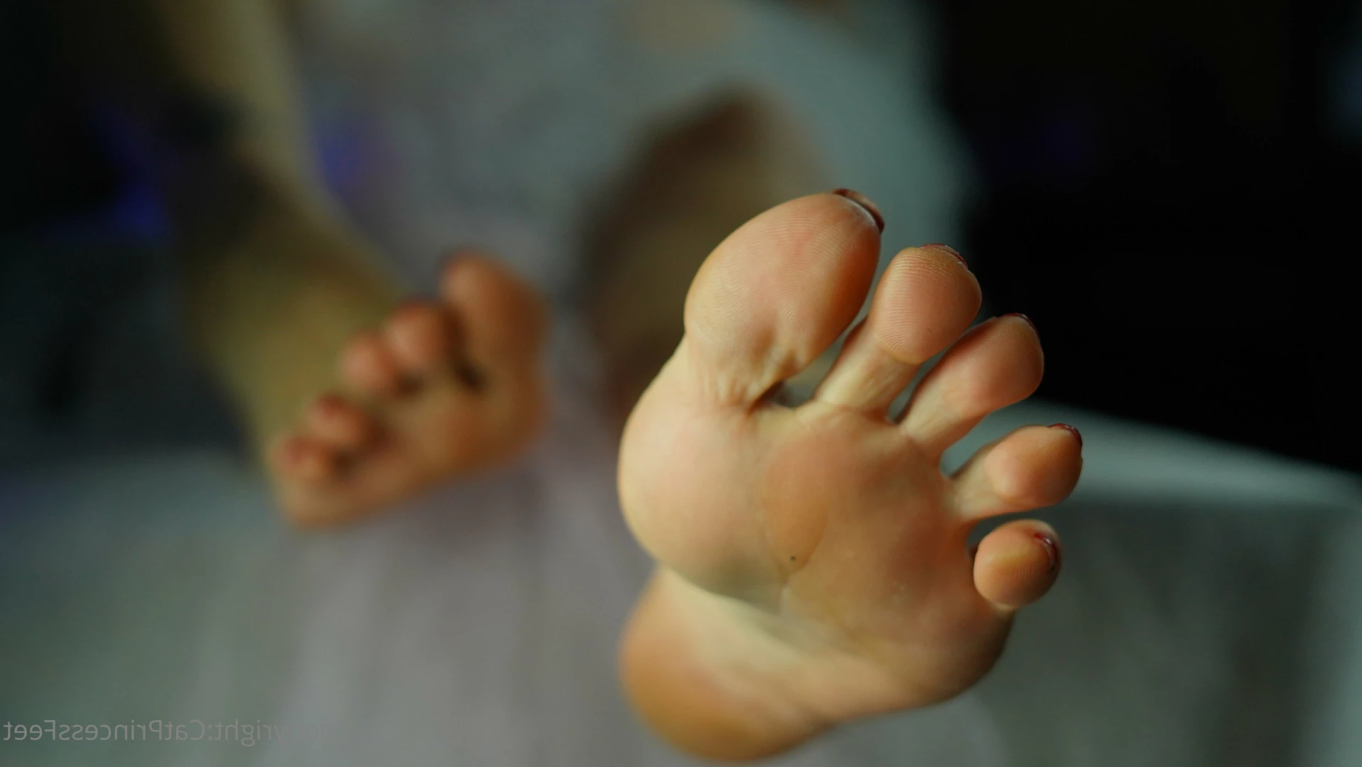 CatPrincess [ catprincessfeet ] Onlyfans leaked photo 7626459 on Hotleaks.tv