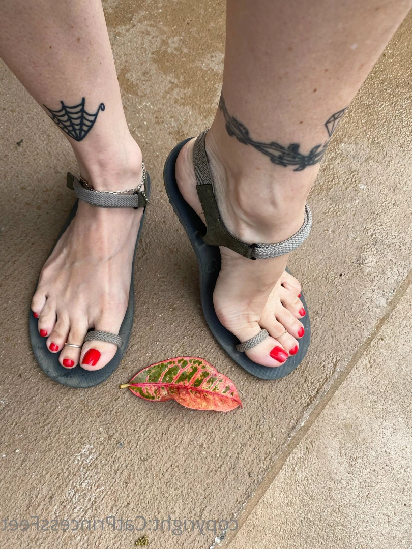 CatPrincess [ catprincessfeet ] Onlyfans leaked photo 7626475 on Hotleaks.tv