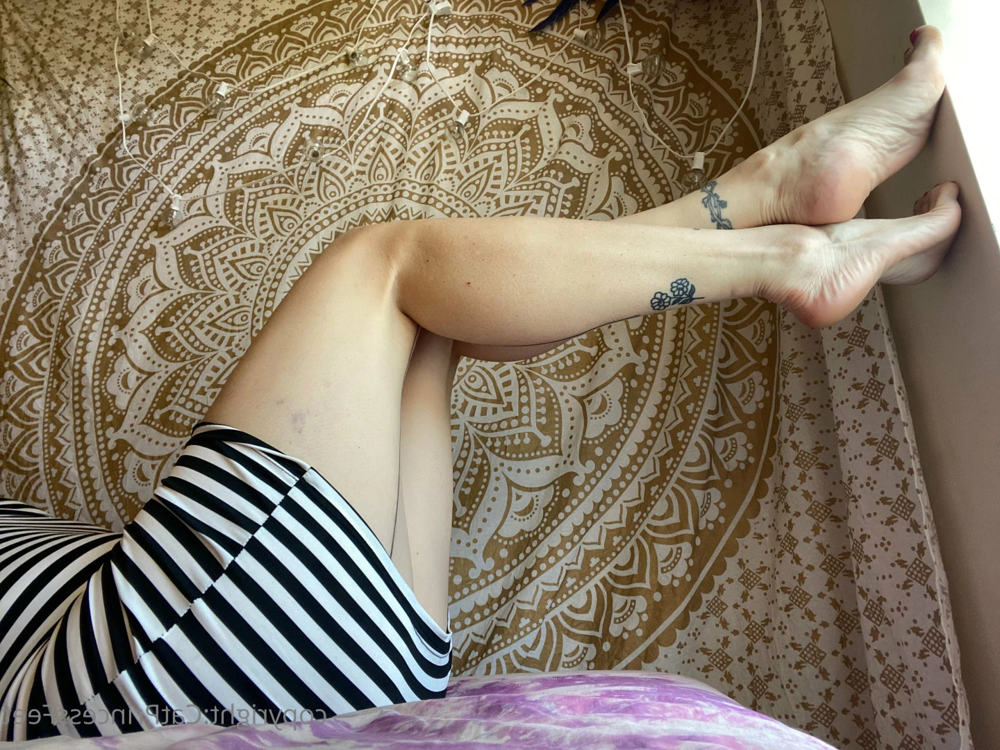 CatPrincess [ catprincessfeet ] Onlyfans leaked photo 7627832 on Hotleaks.tv