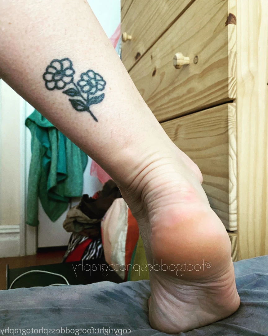 CatPrincess [ catprincessfeet ] Onlyfans leaked photo 7627917 on Hotleaks.tv