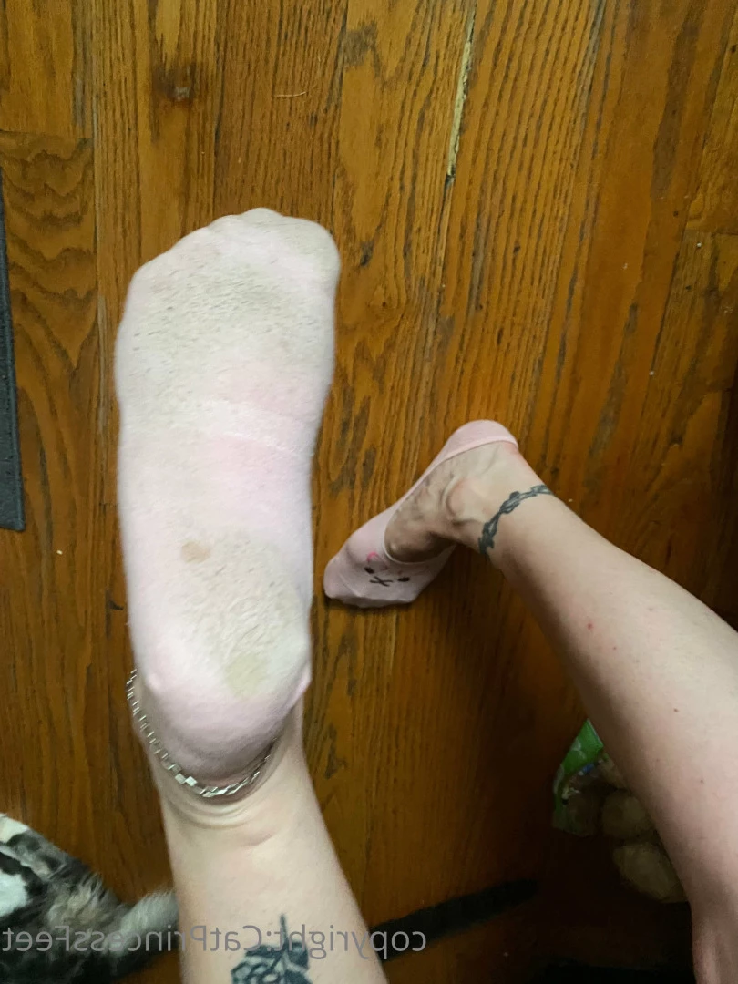 CatPrincess [ catprincessfeet ] Onlyfans leaked photo 7628535 on Hotleaks.tv