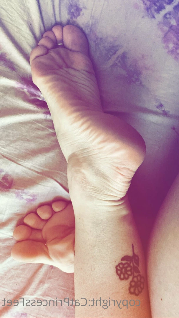 CatPrincess [ catprincessfeet ] Onlyfans leaked photo 7628607 on Hotleaks.tv