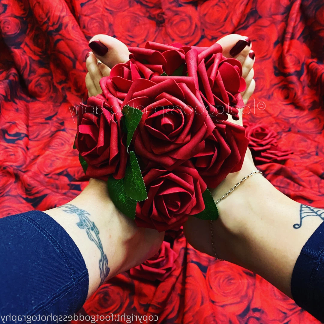 CatPrincess [ catprincessfeet ] Onlyfans leaked photo 7628640 on Hotleaks.tv