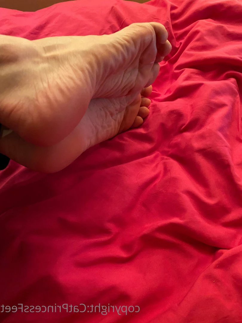 CatPrincess [ catprincessfeet ] Onlyfans leaked photo 7629055 on Hotleaks.tv