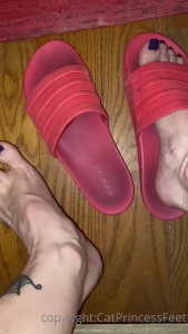 CatPrincess [ catprincessfeet ] Onlyfans leaked video 7745331 on Hotleaks.tv